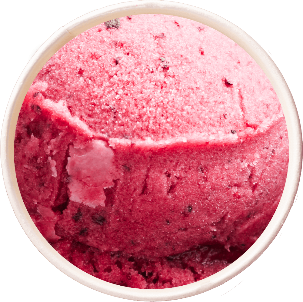 A scoop of Raspberry Sorbet