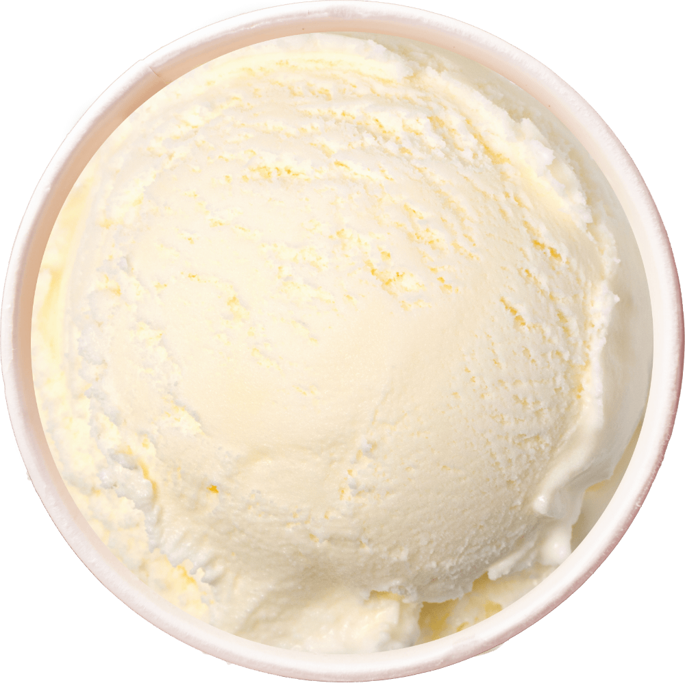 A scoop of Vanilla Bean ice cream